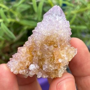 Spirit Quartz Amethyst Cactus!